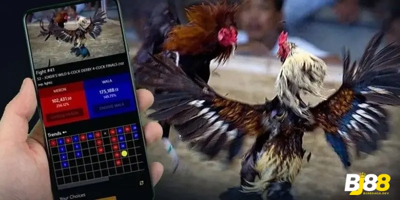 Cách tham gia đá gà tại nhà cái BJ88