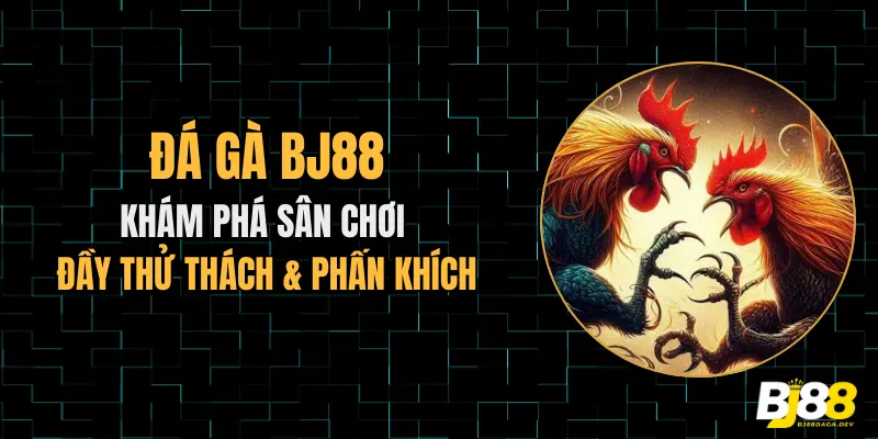 đá gà bj88 khám phá sân chơi đầy thử thách phấn khích.