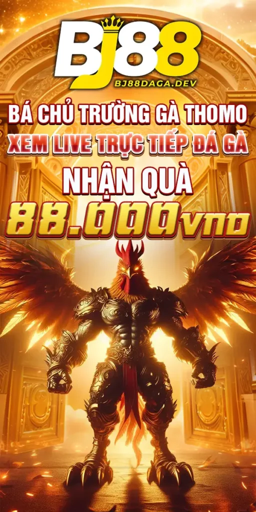 Bá chủ chuồng gà - xem live đá gà trực tiếp nhận 88.000vnd